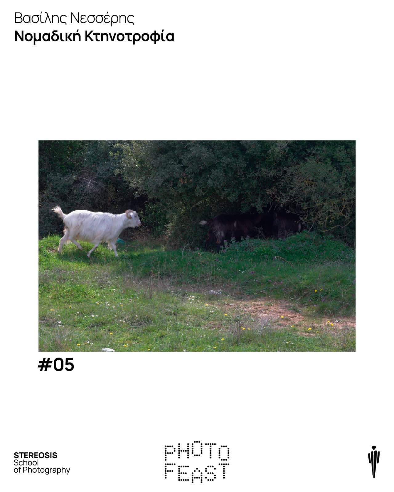 Stereosis School of Photography (SSP)