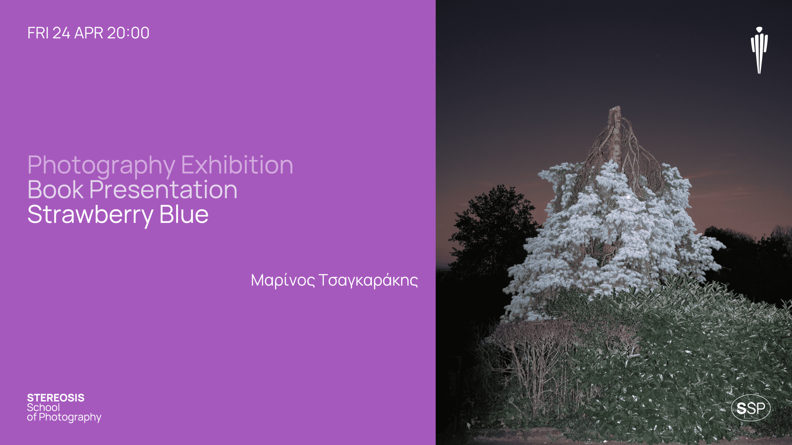 Strawberry Blue exhibition