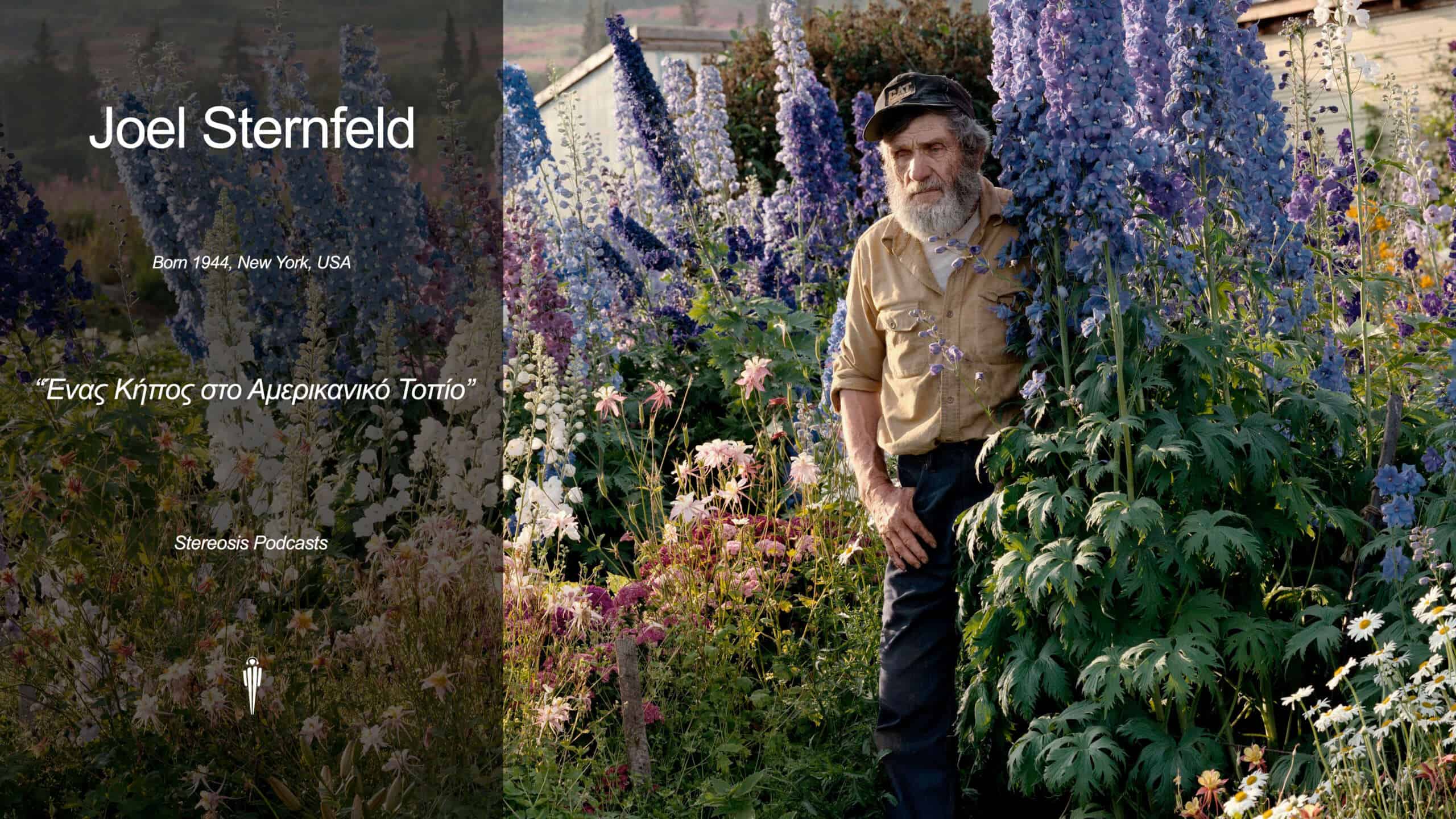 Ο Joel Sternfeld και ένας κήπος στο αμερικανικό τοπίο